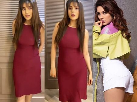 शहनाज गिल के सेक्सी वीडियो पर फिदा हुए फैंस, ग्लैमरस अवतार VIDEO