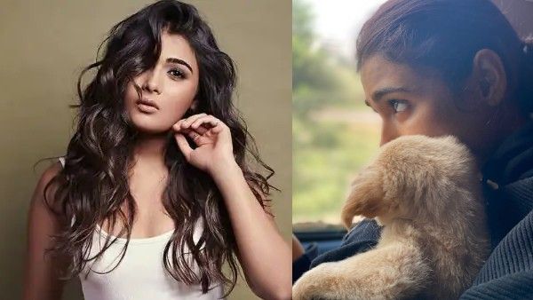 जयेशभाई जोरदार एक्ट्रेस शालिनी पांडे ने किया ये नेक काम, फैंस कर रहे तारीफ