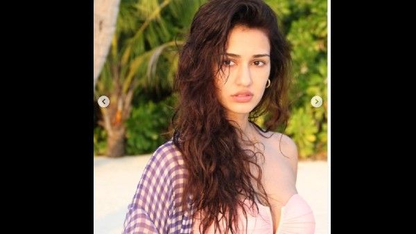 न्यू ईयर स्पेशल पिंक बिकिनी में नहाती दिशा पाटनी का VIDEO, इंटरनेट पर सबसे अधिक देखा गया