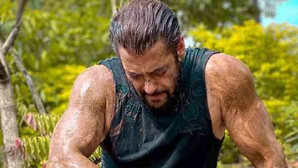 सलमान खान को सांप काटने के बाद अस्पताल लेकर भागा स्टाफ, पणवेल फार्महाउस पर हो रही थी जन्मदिन की तैयारी