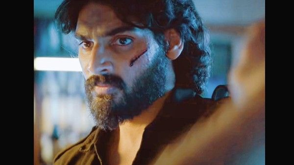 Box Office Day 3: वीकेंड पर अहान शेट्टी की डेब्यू 'तड़प' की बॉक्स ऑफिस पर करोड़ों की धुआंधार कमाई !