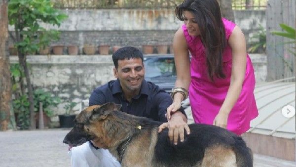 अक्षय कुमार के डॉगी 'क्लियो' का निधन, 12 साल से था साथ, सामने आया इमोशनल पोस्ट!