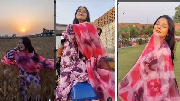 शहनाज़ गिल ने लिया अपना पंजाबी कुड़ी अवतार, खेतों में दौड़ते बोलियां गाते तस्वीरें और वीडियो वायरल