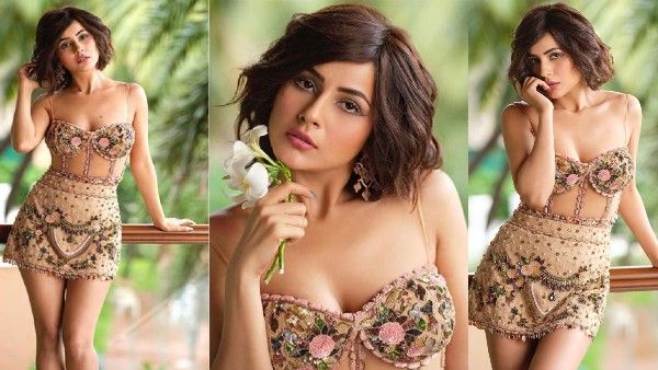 शहनाज़ गिल ने साईन की अपनी दूसरी बॉलीवुड फिल्म, सलमान खान की भाईजान के बाद अनिल कपूर के साथ एंट्री