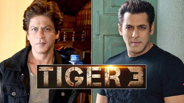 Confirm- टाइगर 3 का हिस्सा होंगे शाहरुख खान, खुद खोला राज, सलमान खान के साथ शूटिंग करने का ऐसा था अनुभव
