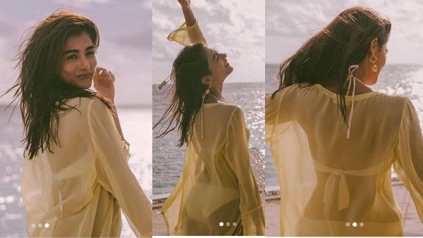 पूजा हेगड़े ने सोशल मीडिया पर शेयर कीं बिकीनी में तस्वीरें, Transparent टॉप में फैन्स के होश उड़ाए