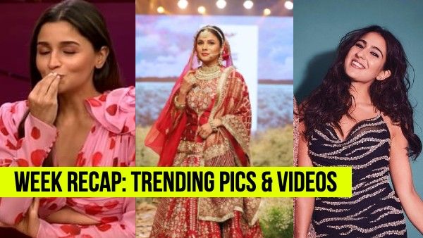 Viral Pics - Videos: आलिया की प्रेगनेंसी पर रणबीर का रिएक्शन, शहनाज़ का ऑटोग्राफ, सारा अली खान को मिला धोखा