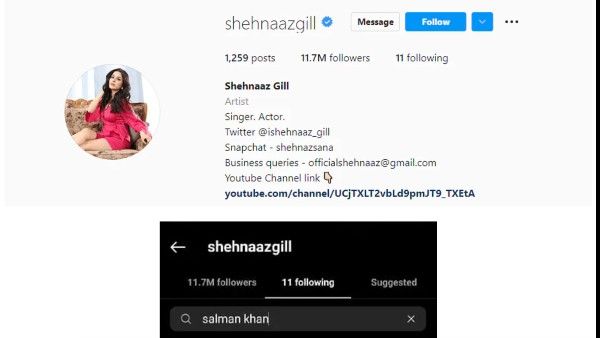 शहनाज़ गिल ने किया सलमान खान को अनफॉलो, डेब्यू फिल्म कभी ईद कभी दिवाली से किया गया बाहर, ये है कारण?