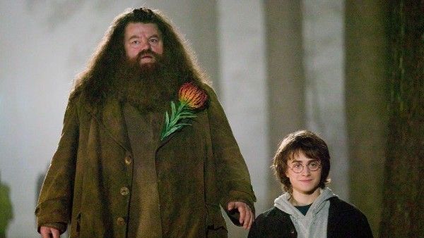 Harry Potter Rubeus Hagrid dies: हैरी पॉटर सीरीज़ के चहेते किरदार हैगरिड को निभाने वाले एक्टर रॉबी का निधन