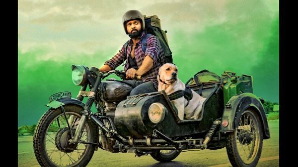 IMDb रेटिंग में टॉप 10 में दक्षिण की फिल्मों का दबदबा कायम, बॉलीवुड की बस 1 फिल्म बना पाई जगह