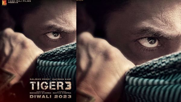 Tiger 3 Release Date: सलमान खान- कैटरीना कैफ स्टारर फिल्म की नई रिलीज डेट का ऐलान, दिवाली पर होगा धमाका
