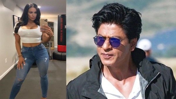 अमेरिकन Adult Star भी निकलीं Shahrukh Khan की फैन, जन्मदिन पर साझा किया पठान पोस्टर!