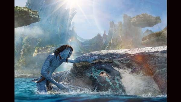 Avatar The Way Of Water: बंपर ओपनिंग के बाद भारत में 50% तक धीमी हुई कमाई, यहां जानें 5 दिनों का कलेक्शन