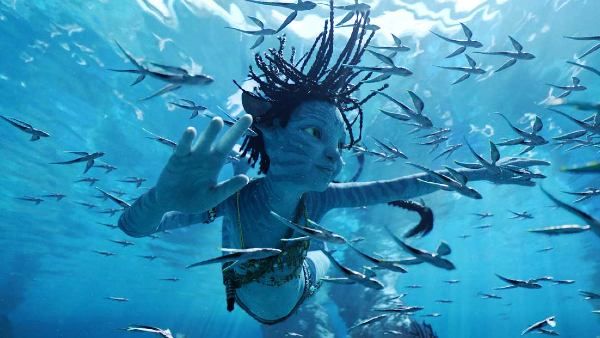 Avatar The Way Of Water Day 10: ब्लॉकबस्टर रविवार, भारत में 250 करोड़ पार पहुंची जेम्स कैमरून की अवतार 2