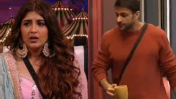 Bigg Boss 16 Promo: शालीन ने की ऐसी हरकत, टीवी की इस बहू को आया पैनिक अटैक , हालत गंभीर