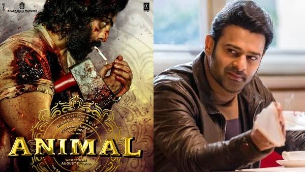 Animal के फर्स्ट लुक पोस्टर पर प्रभास ने दिया जबरदस्त रिएक्शन, रणबीर कपूर को कहा 'सुपरस्टार'