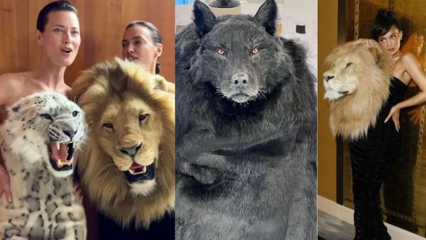 शेर के बाद बदन ढकने के लिए तेंदुए और भेड़िए के सिर से लदे लिबास पहने नजर आईं ये हसीनाएं, देखें तस्वीरें