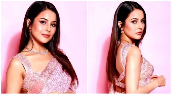 शादी को लेकर Shehnaaz Gill ने पहली बार की बात, अहम फैसले का सच रखा सामने