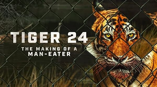 Tiger 24 OTT Release: आदमखोर बाघ की कहानी जल्द आएगी ओटीटी प्लेटफॉर्म पर