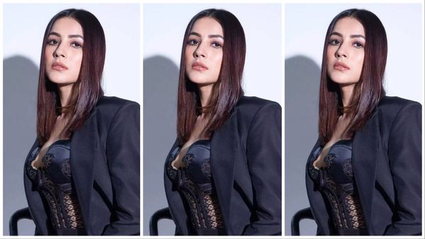 Shehnaaz Gill: फिल्म रिलीज से पहले शहनाज गिल ने कराया बोल्ड फोटोशूट, इंटरनेट पर मचा बवाल