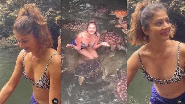 कछुओं के साथ ब्रा पहने मचल रही थी हसीना, लोग बोले- ध्यान से, कहीं इधर उधर ना...