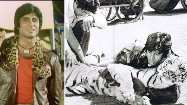 जब फिल्म के सेट पर असली टाइगर से भिड़ गए थे अमिताभ बच्चन, बोले- 