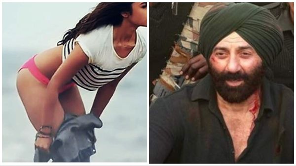 इस एक्ट्रेस के साथ काम करना चाहते हैं सनी देओल, बोले- कोई भी कैसा भी काम करवालो