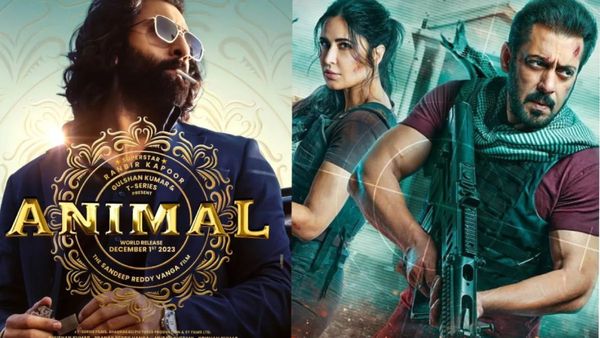 Animal ने सिर्फ 6 दिनों में तोड़ डाला सलमान खान की Tiger 3 का बॉक्स ऑफिस रिकॉर्ड, जानिए कमाई?
