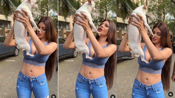 Video: कुत्ते को गोद में लेकर खेल रही थी हसीना, ब्रा के अंदर कुत्ते ने घुसा दिया पंजा और दिख गया सबकुछ