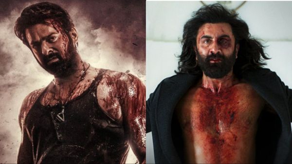 Bollywood Hindi News Live: यहां 24 घंटे चलेंगे सालार के शोज, एनिमल के 3 पार्ट्स लाएंगे संदीप रेड्डी वांगा