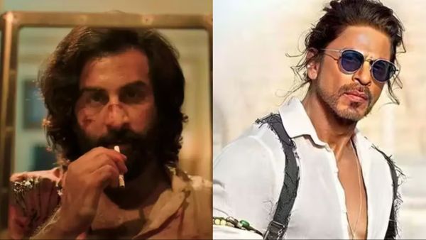 Bollywood Hindi News Live: कानूनी पचड़े में फंसी 'एनिमल', फिल्मफेयर नॉमिनेशन में बजा शाहरुख का डंका