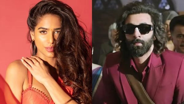 Bollywood Highlights- बड़ी मुसीबत में फंस सकती हैं पूनम पांडे, कबीर सिंह में इसलिए नहीं थे रणबीर कपूर