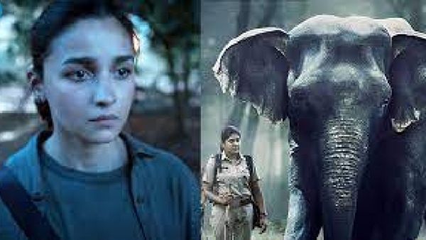 Poacher Trailer: रोंगटे खड़े कर देगी हाथियो पर होने वाली बेरहमी, जानिए किस OTT पर रिलीज होगी आलिया की सीरीज