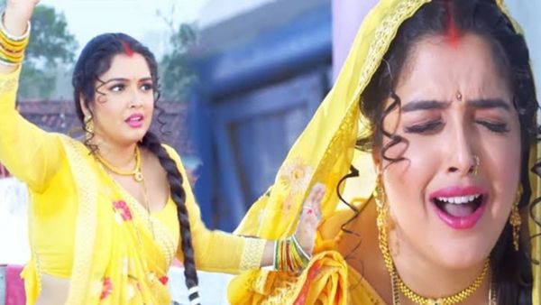 Bhojpuri Video: आम्रपाली दुबे का साड़ी में डांस देख निरहुआ का फिसला दिल, देखें लाजवाब वीडियो