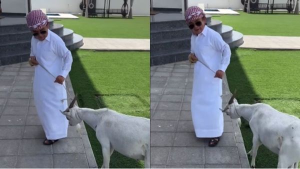 Eid-Ul-Adha 2024: मुस्लिम एक्टर ने शेयर किया कुर्बानी का वीडियो, बकरा लेकर निकले तो भड़के लोग