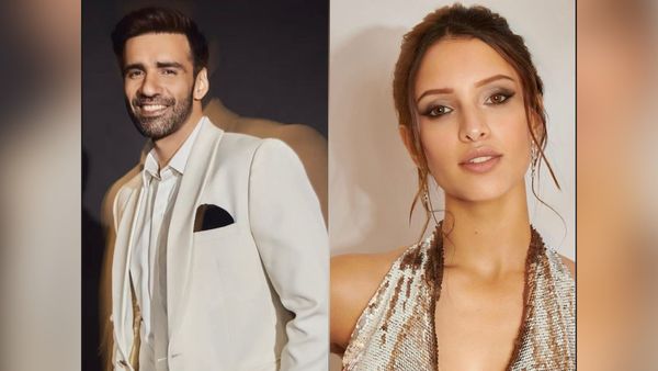 कश्मीर में फिर से रिलीज की जा रही है 'नेशनल क्रश' तृप्ति डिमरी की ये फिल्म?