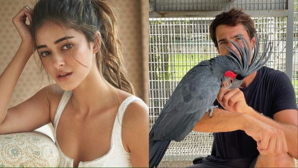 Ananya Panday की जिंदगी में नए प्यार की एंट्री, इस बार विदेशी पर आया दिल, कुछ महीनों पहले ही हुआ था ब्रेकअप
