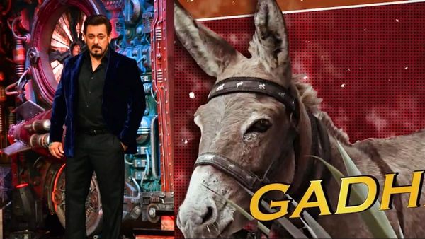 BIGG BOSS 18: गधराज को शो में रखना पड़ा मेकर्स को भारी, बिग बॉस के घर से निकालकर सौंप PETA को