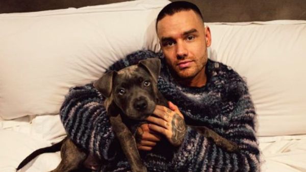 सिंगर लियाम पायने का 31 साल की उम्र में निधन, होटल के कमरे से गिरने पर हुआ हादसा