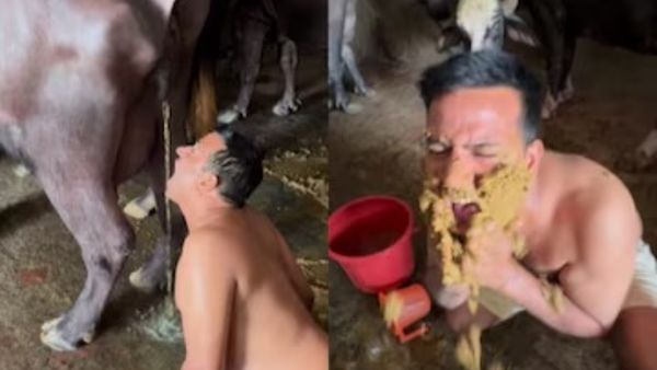 Video: भैंसों का ताजा गोबर खाने को मजबूर हुआ सुपरस्टार, वीडियो देख लोग को आ रही उल्टियां
