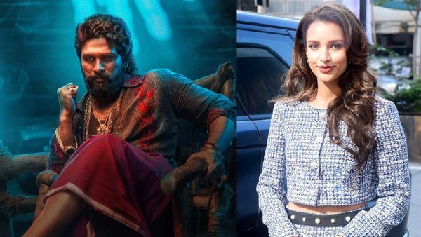 Bollywood Live News- बॉयफ्रेंड के साथ बाइक पर दिखी तृप्ति, पुष्पा 2 से पहले अल्लू अर्जुन पड़े मुसीबत में..