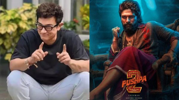 Bollywood Highlights - पुष्पा 2 ने बनाए नए रिकॉर्ड्स, पोस्टपोन हो गई सितारे जमीं पर!