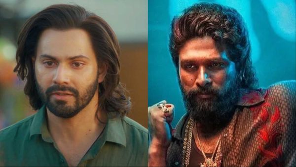 Pushpa 2 की आंधी के आगे Baby John ने भी टेक दिए घुटने, Salman Khan का कैमियो भी हुआ फेल!