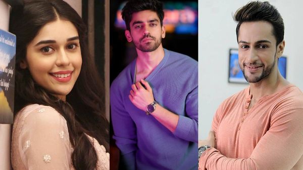 'शालीन ने अविनाश से बात करने को मना किया है..' Eisha Singh के वीडियो से मचा बवाल, ये है सच?