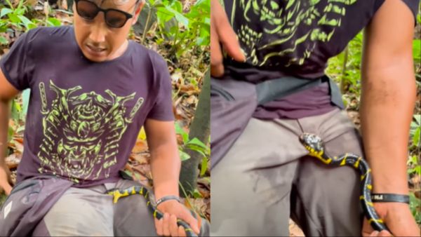 सोशल मीडिया इंफ्लुएंसर के प्राइवेट पार्ट पर सांप ने किया हमला, लाख छुड़ाने की कोशिश की लेकिन...