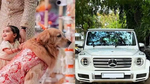 इतने करोड़ की मर्सडीज में घूमता था अंबानी परिवार का पालतू कुत्ता, निधन के बाद हुआ खुलासा!