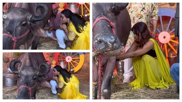 गांव में घुसी हसीनाओं ने निकाला भैंस का दूध, निया शर्मा जोर-जोर से दबाती रही तो भारती गट-गट पी गई डायरेक्ट