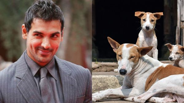 'धरती पर अगर कोई GOD है तो वो DOG हैं..' जॉन अब्राहम के बयान से मचा बवाल, लोग बोले- 'कुछ भी भौंक रहा है'