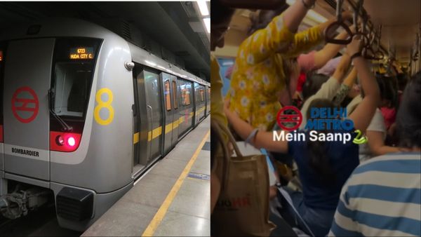 Delhi Metro में सांप-सांप कहकर चिल्लाने लगीं औरतें, कई सीट पर चढ़ीं तो कई लड़कियां रॉड पकड़कर लगीं लटकने
