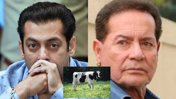 'गोमांस खाना हराम है..' सलीम खान का बड़ा बयान, पैंगबर मोहम्मद का नाम लेकर कही ये बात?